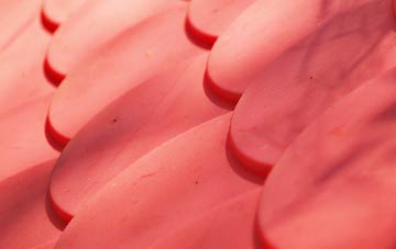 Ardtalnaig plastic roof costs